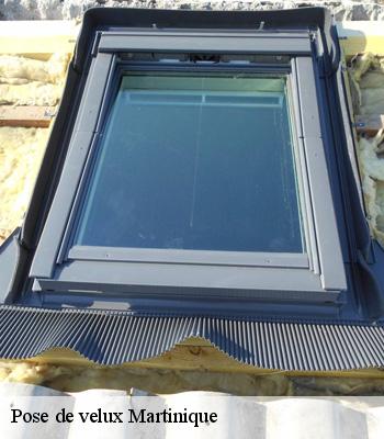 Quel Permis Pour Pose Velux